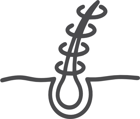 Repolarizacion Capilar Repolarizacion Capilar